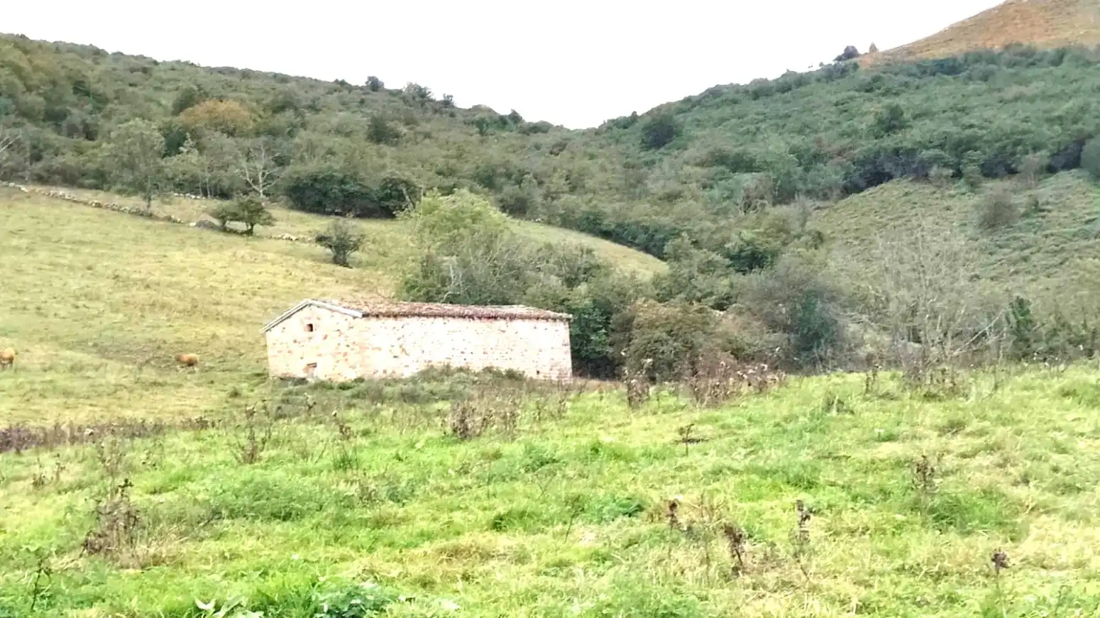 Casa con jardín en venta en San Sebastián de Garabandal - MATAZORRA, imagen 22