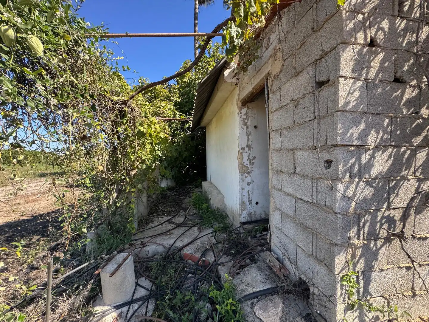 Casa rustica in vendita a CV-605, imagen 31
