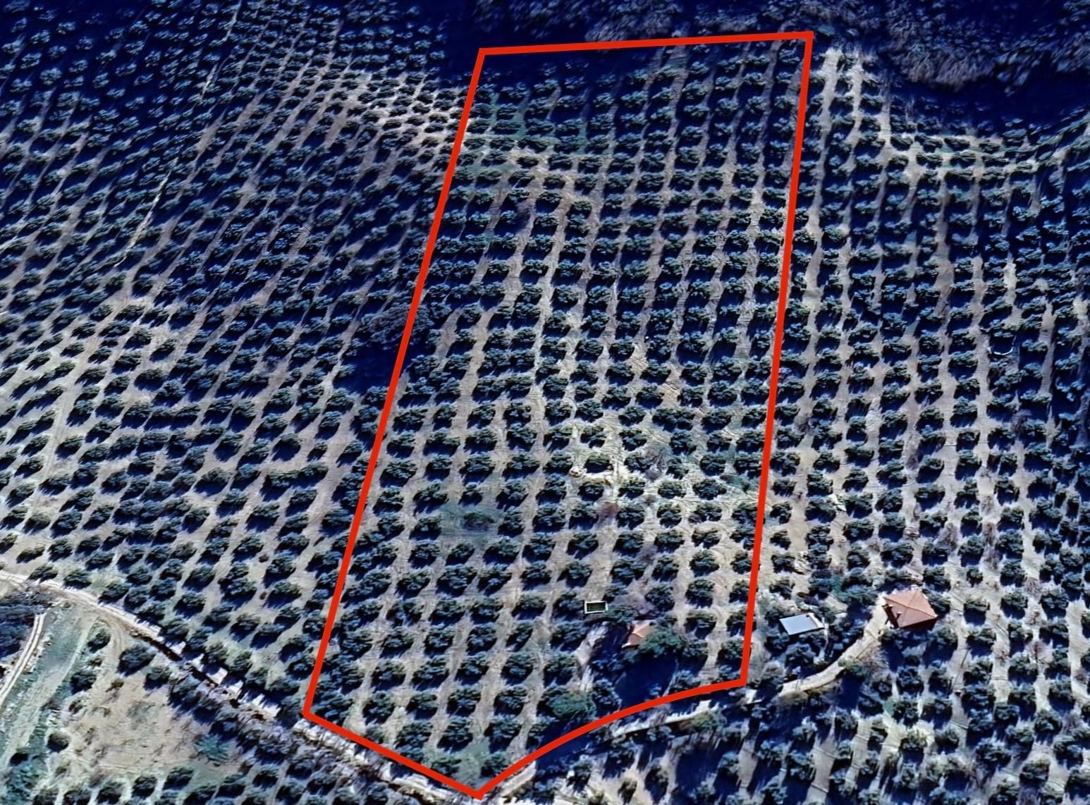 Terreno en venta en Montefrío