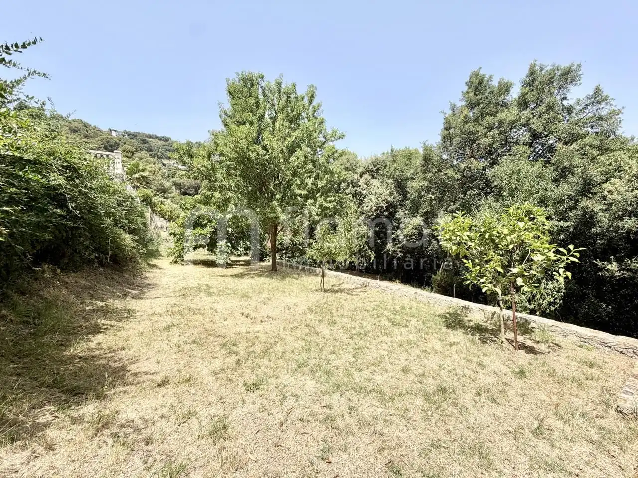 House for sale in Avinguda dels Arbres, imagen 50