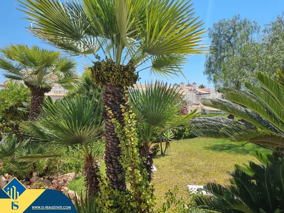 Apartament amb piscina en venda a Los Balcones - Los Altos, imagen 17