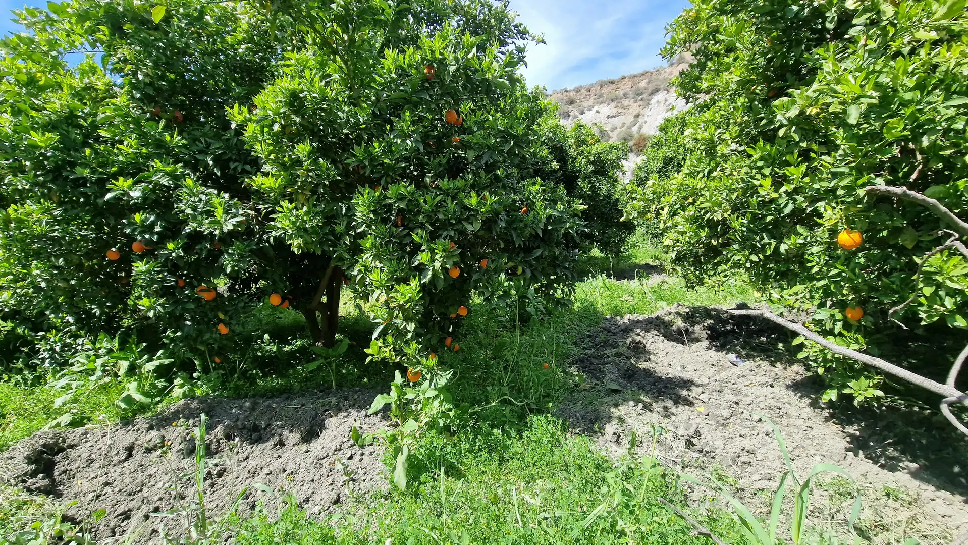 Finca rústica en venda en Canjáyar amb Jardí privat i Moblat