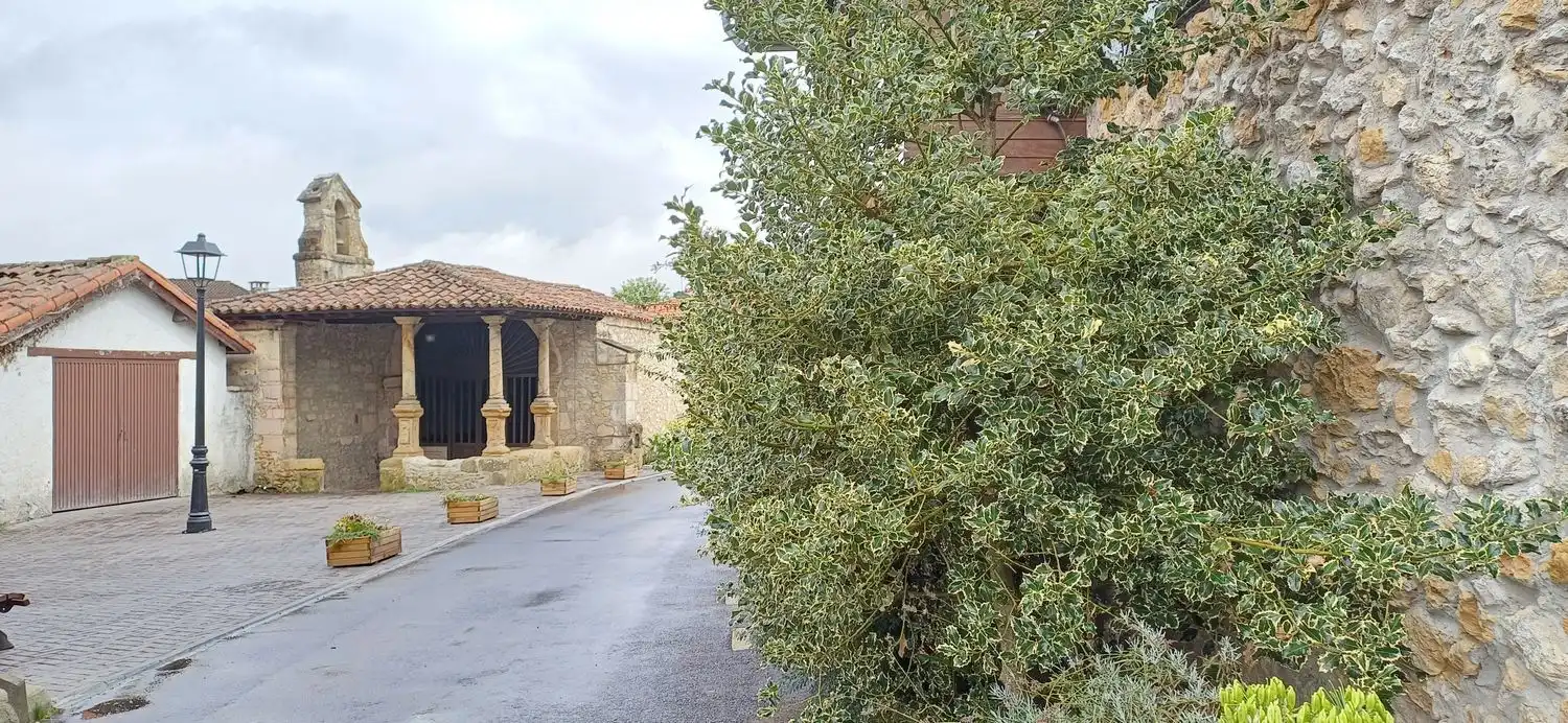 Exterior view of Houses for sale in Nava  with Swimming Pool