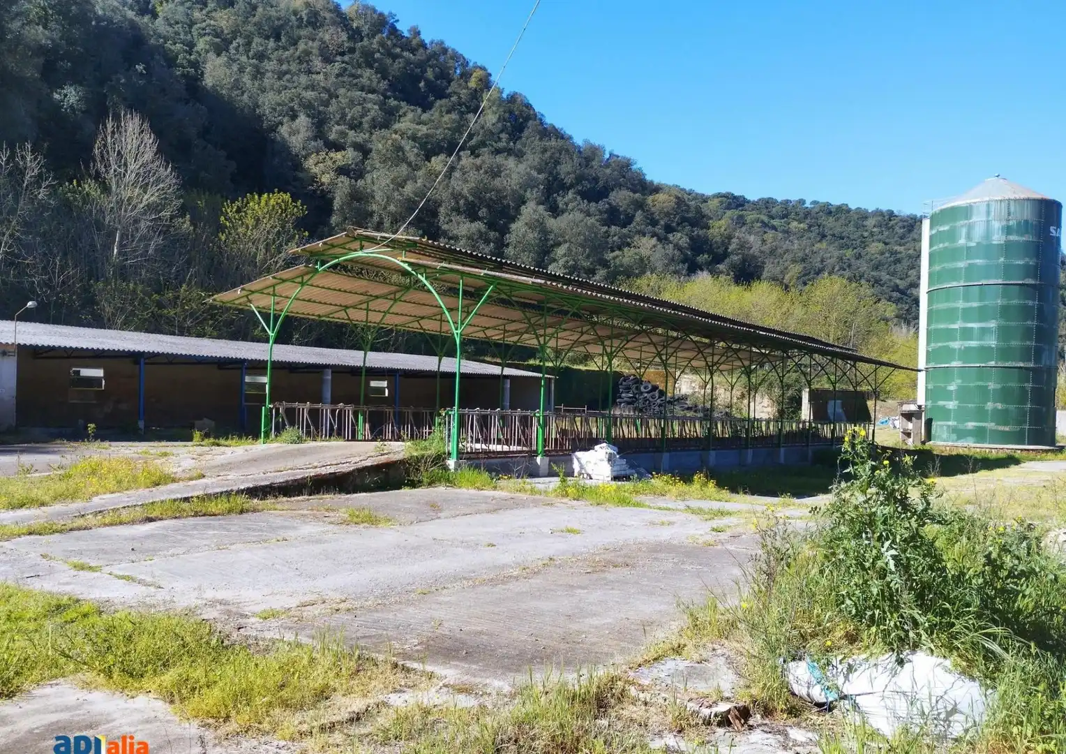 Vista exterior de Finca rústica en venta en Massanes