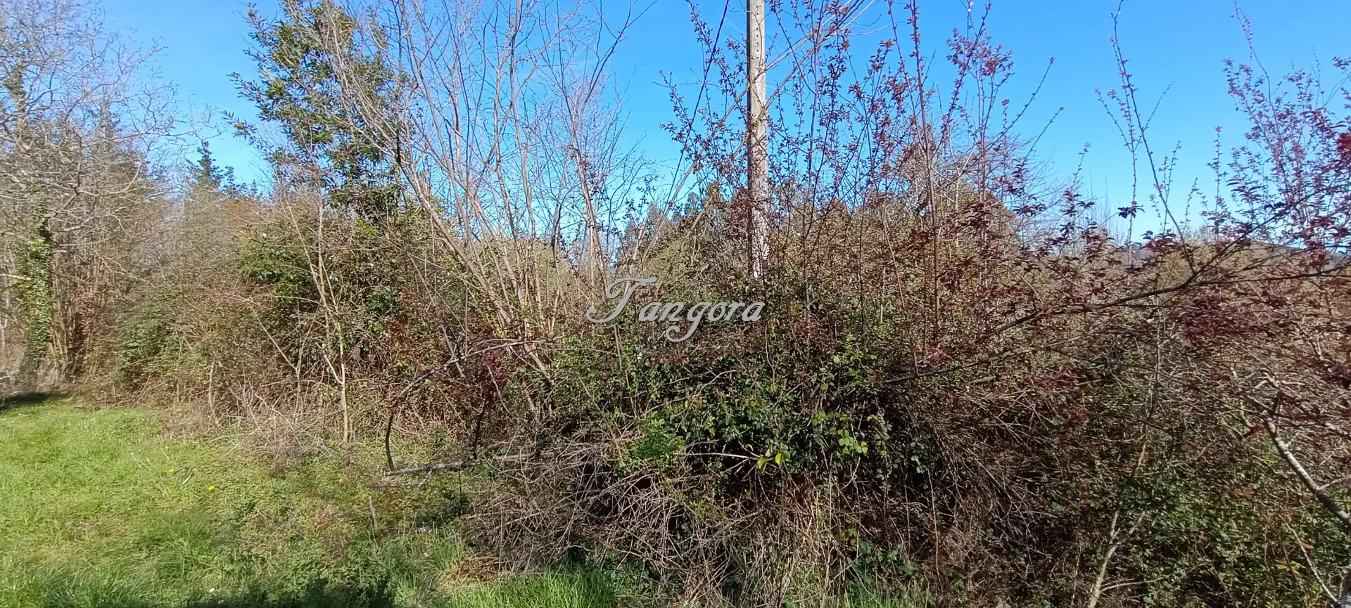 Finca rústica en venda en Morga amb Jardí privat i Balcó