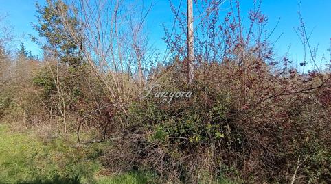 Photo 4 of Country house for sale in Eskerika Auzoa, Morga, Bizkaia