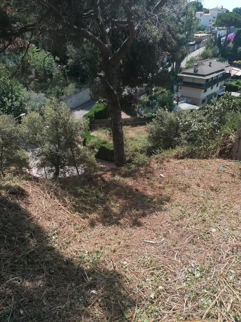 Terreno residencial en venta en Can Massuet del Far, imagen 4
