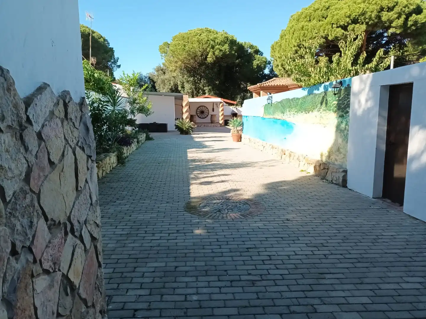 Jardín de Finca rústica de alquiler en Barbate con Aire acondicionado, Terraza y Piscina