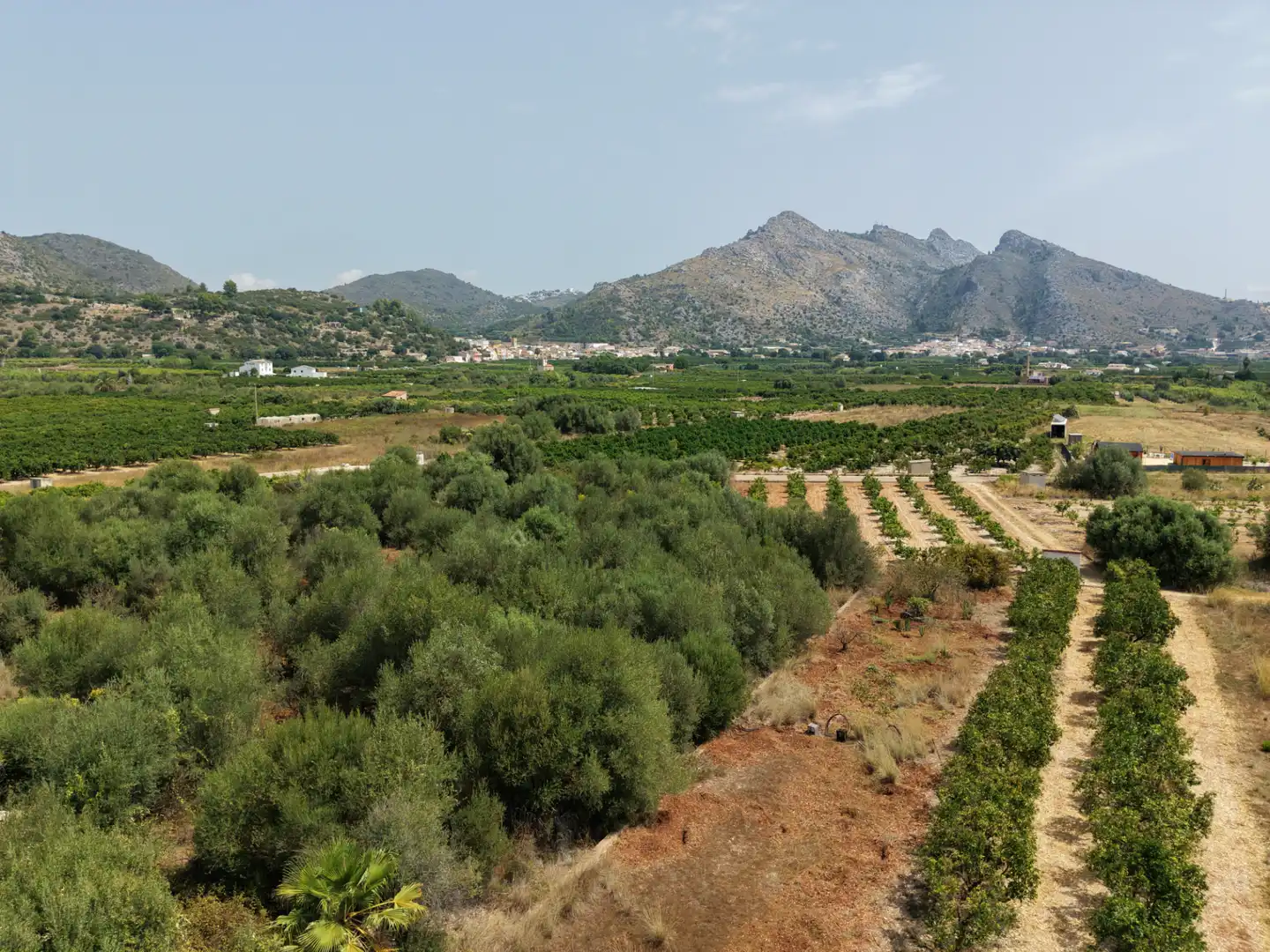 Rural land for sale in Carrer Castell 29, imagen 5