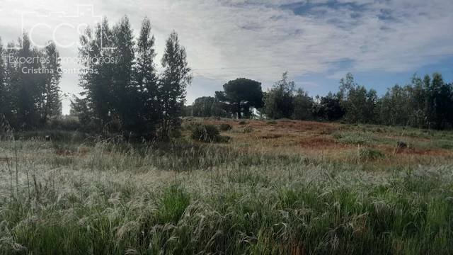 Terreno en Venta en Almonte ciudad