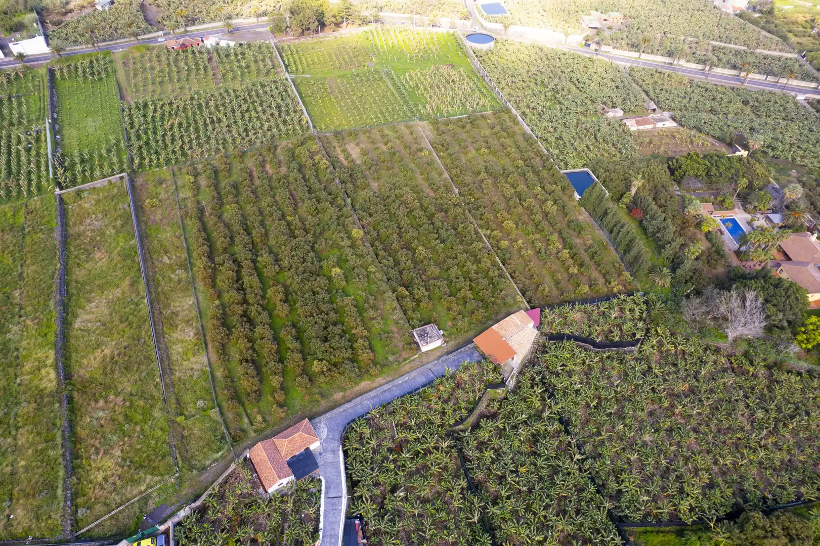 Land for sale in La Orotava