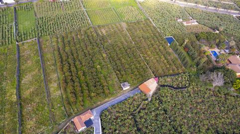 Photo 5 of Land for sale in Camino la Cisterna, -1, Las Cuevas - Los Gómez, La Orotava