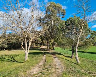 Exterior view of Country house for sale in Sils