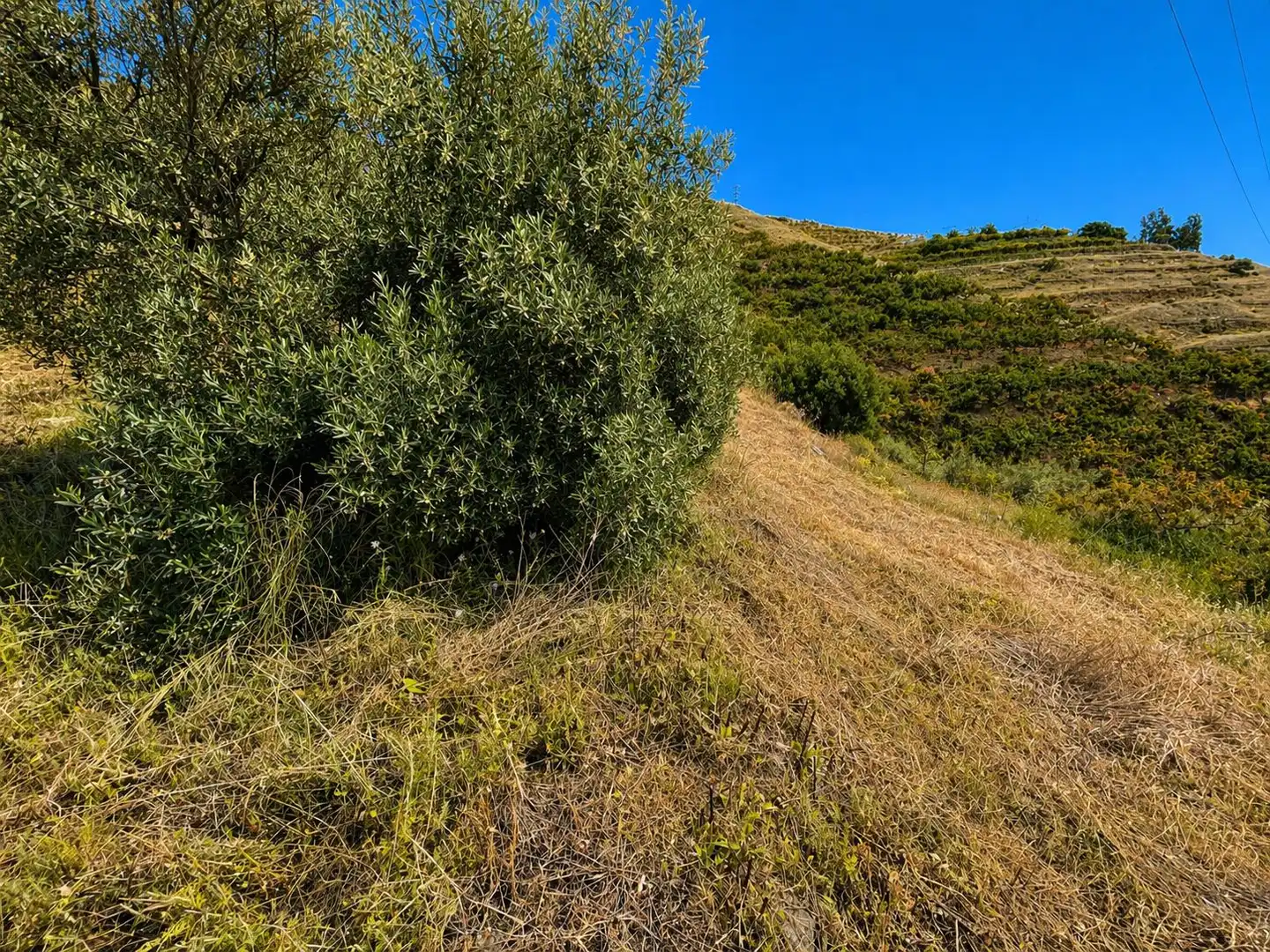 Grundstücke zum Verkauf in Torrox