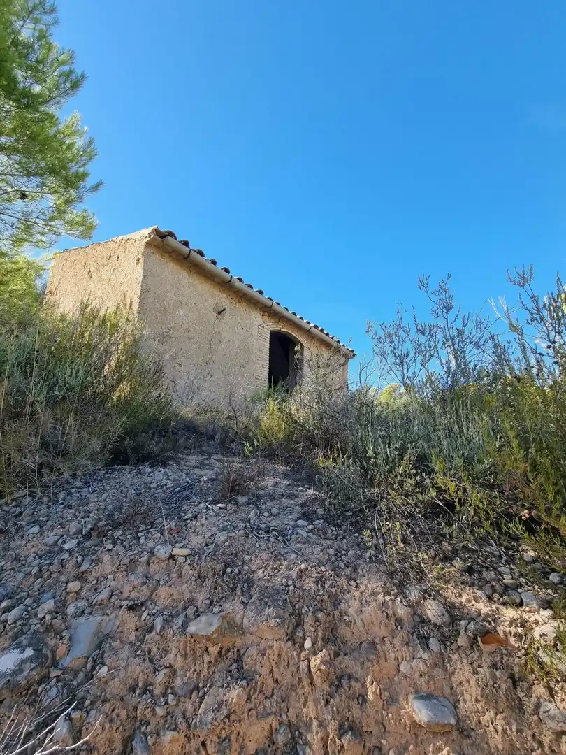 Lands and plots for sale in poligono 7 parcela 274, imagen 14