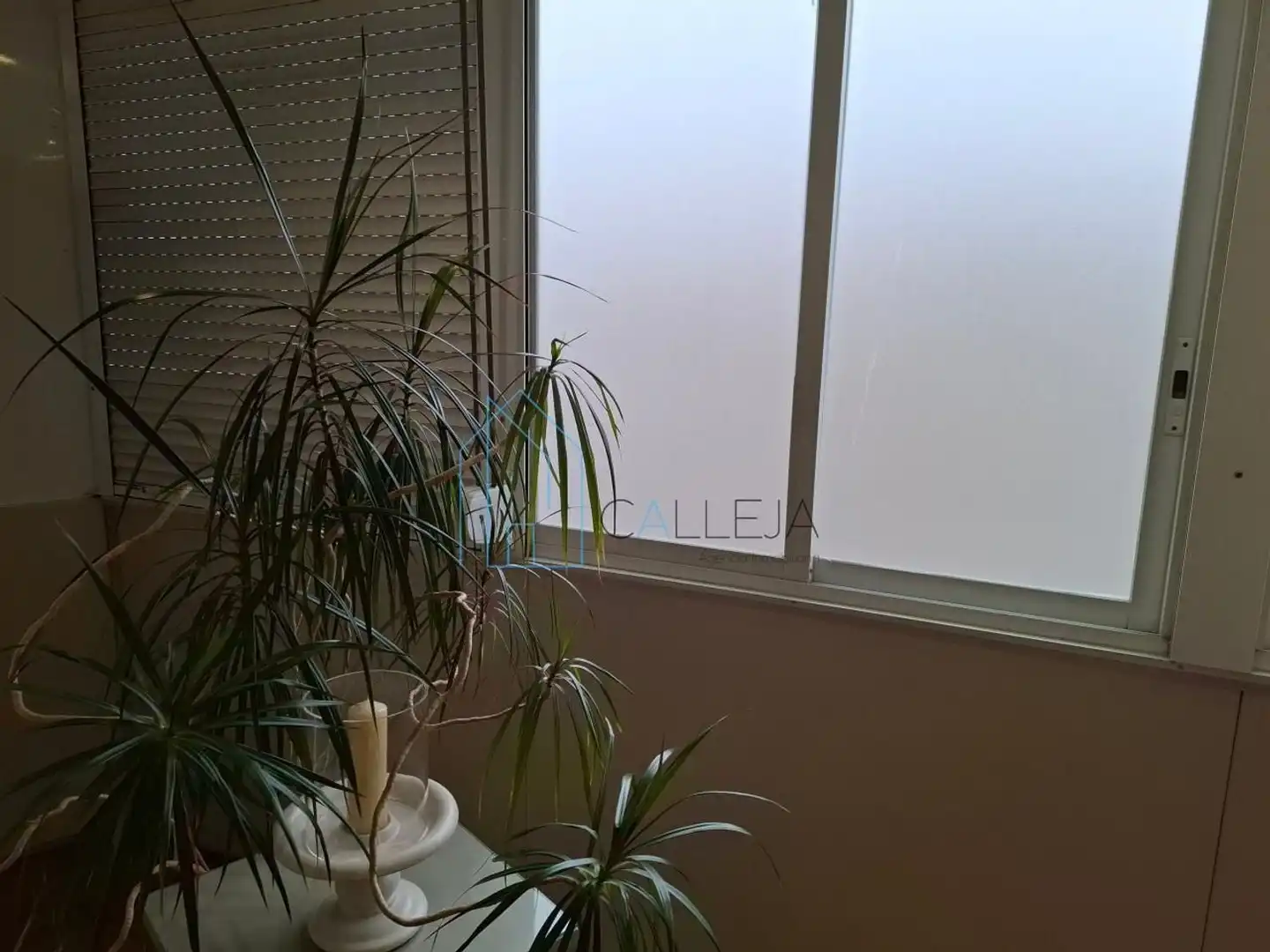 Garden of Office for rent in A Ponte
