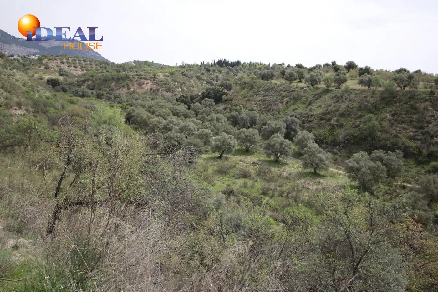 Country homes for sale in Víznar