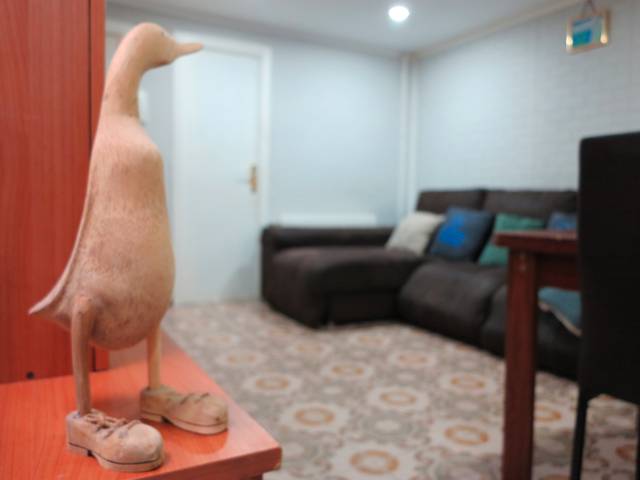 Piso en Venta en Carrer la Menta en Can Vidalet