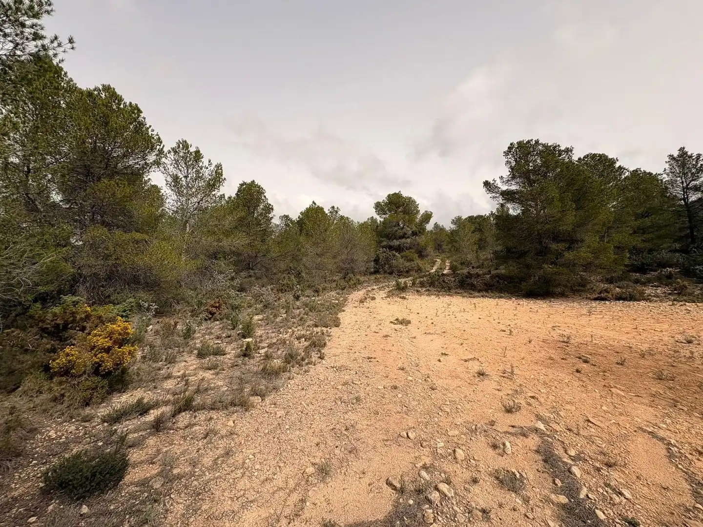 Terreno rustico in vendita a Petrer, imagen 7