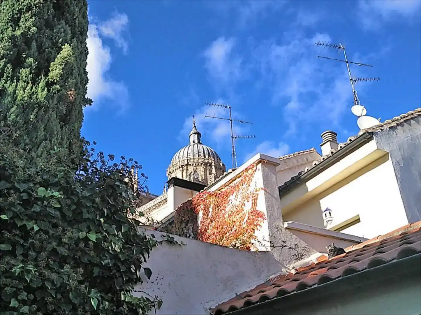 Vista exterior de Casa adosada en venda en Salamanca Capital amb Aire condicionat i Balcó