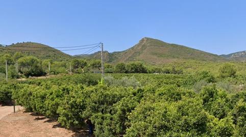 Foto 5 de Finca rústica en venda a Torres Torres, Valencia