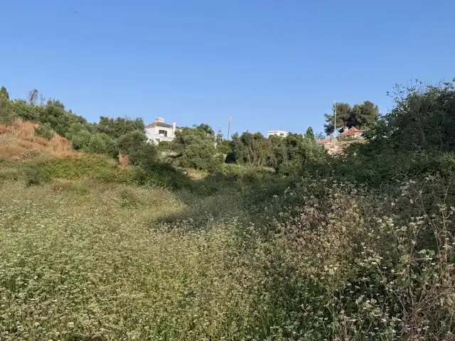 Terreny rústic en venda a San Pedro de Alcántara, imagen 6