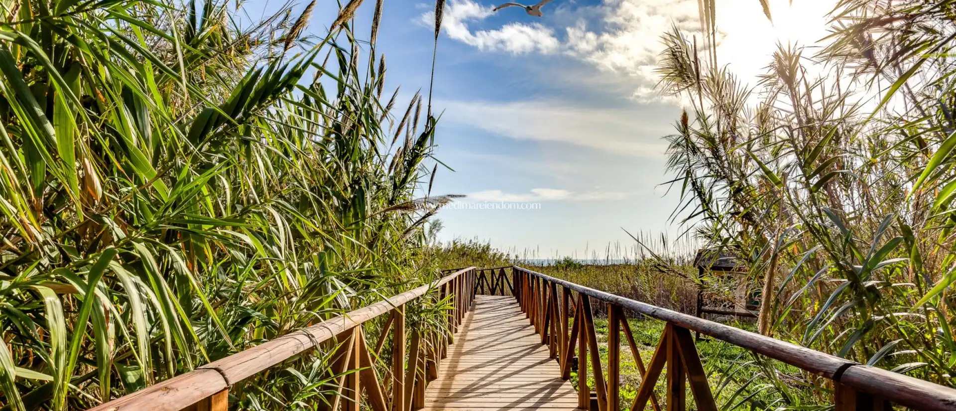 Vista exterior de Apartament en venda en Santa Pola amb Aire condicionat, Calefacció i Terrassa