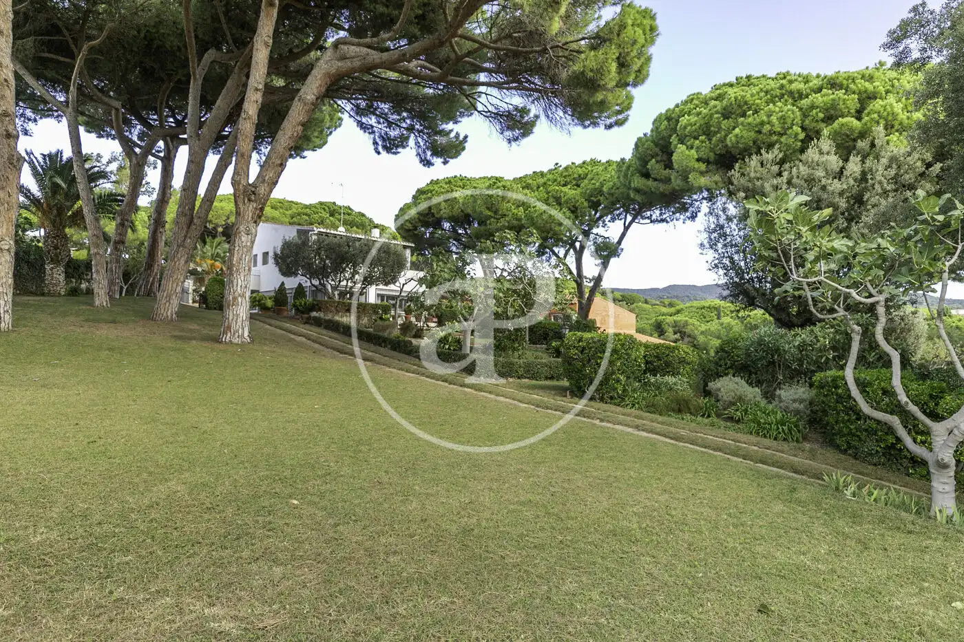 Jardí de Casa o xalet en venda en Sant Andreu de Llavaneres amb Aire condicionat, Calefacció i Jardí privat