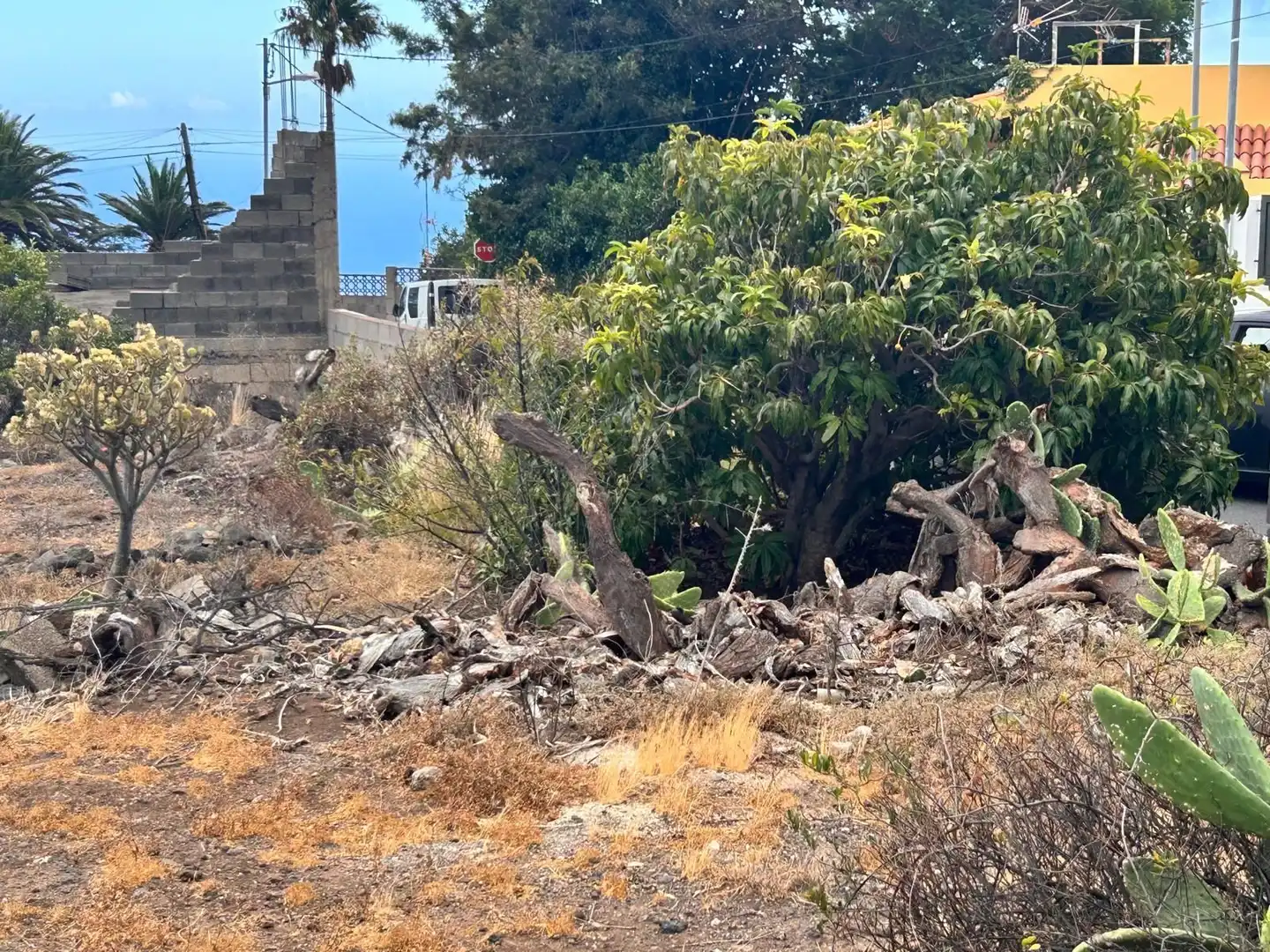 Lands and plots for sale in Barranco Hondo, imagen 5