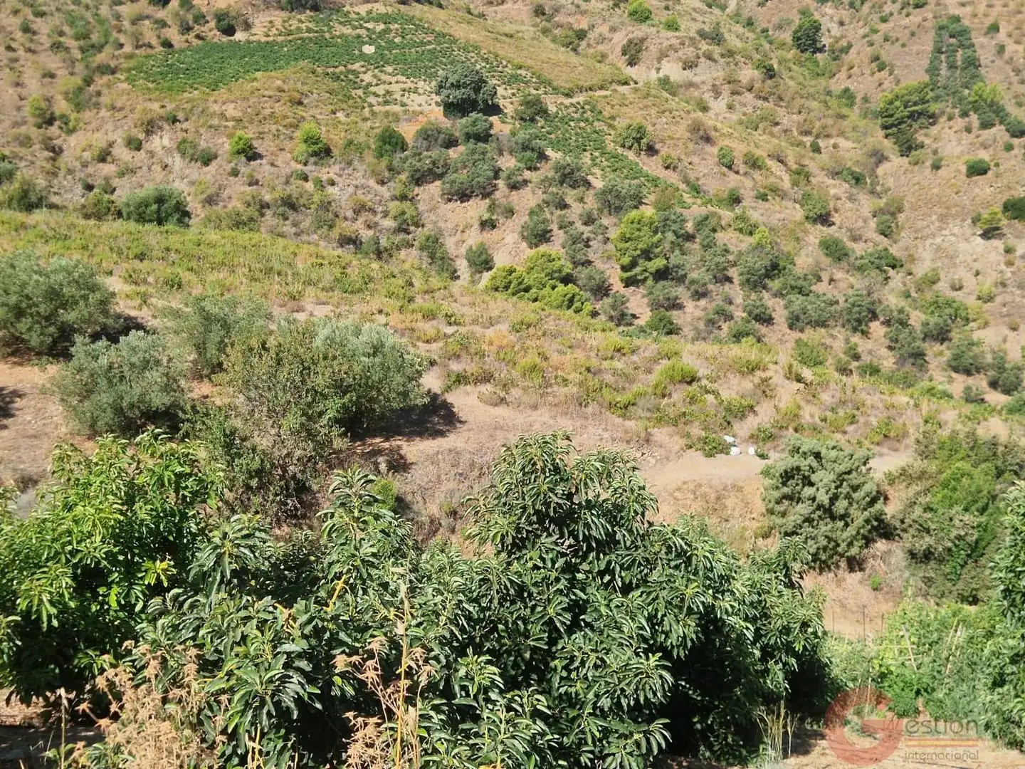 Terreni e lotti in vendita a Ítrabo, imagen 12