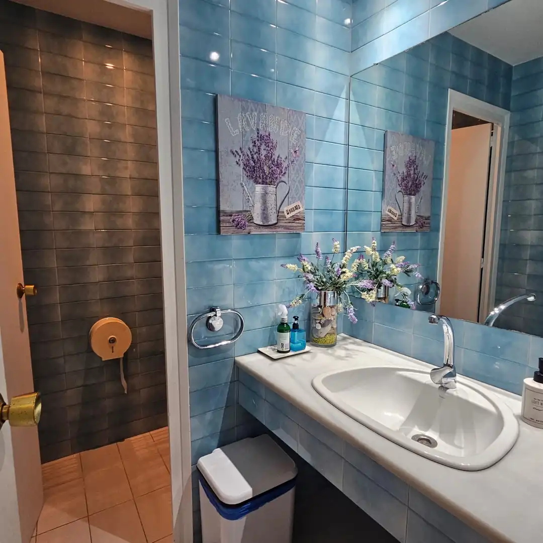 Badezimmer von Geschaftsraum zum Verkauf in Sant Feliu de Llobregat mit Klimaanlage, Heizung und Parkett