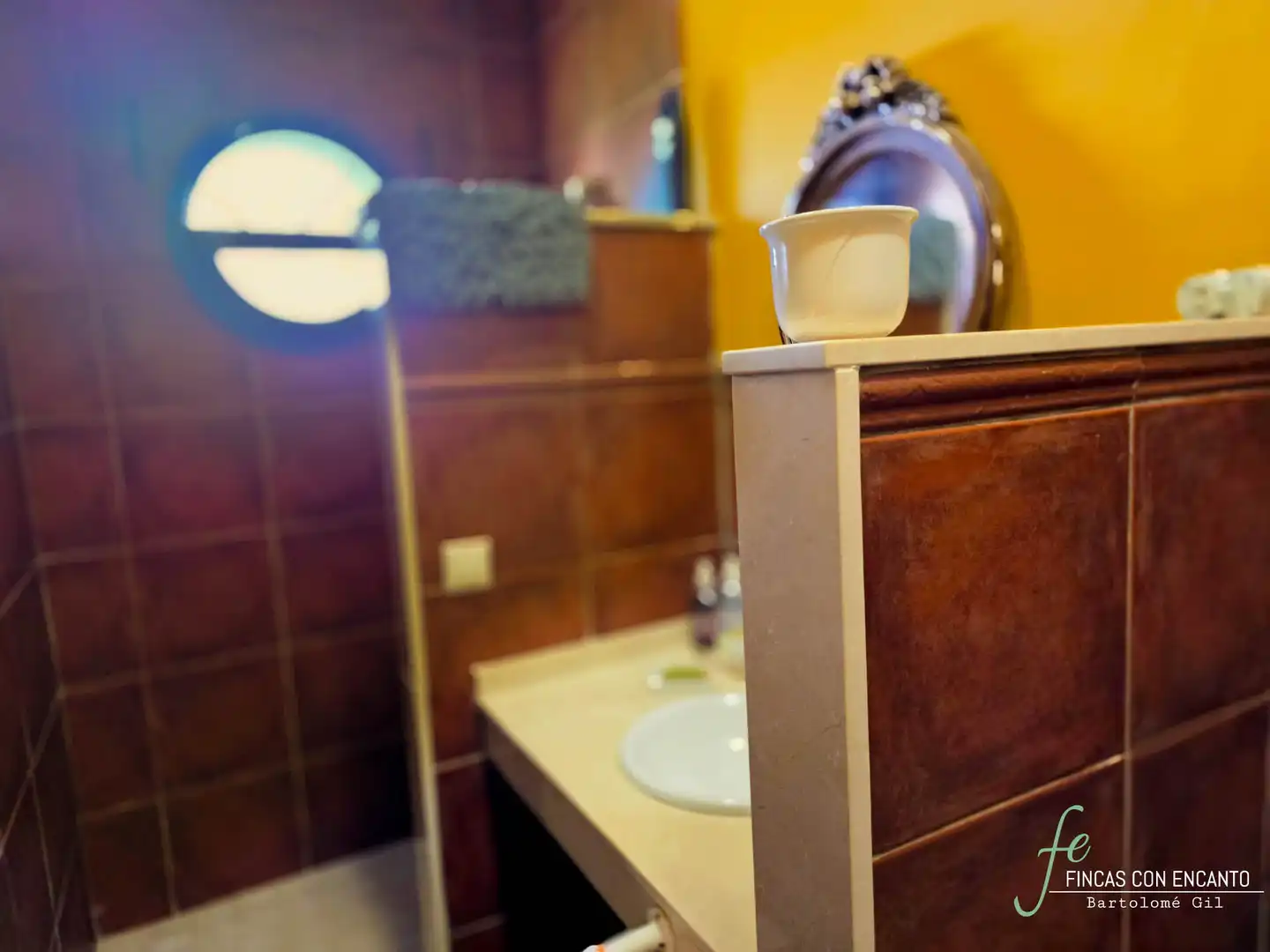 Bathroom of Country homes for sale in Marchena  with Swimming Pool and Alarm