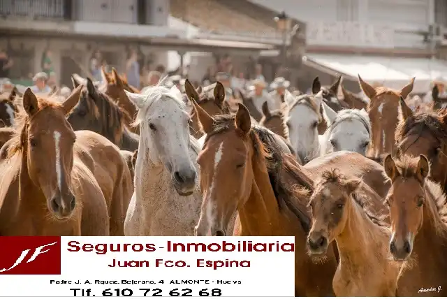 Terreni e lotti in vendita a Camino de Villalba del Alcor 12, imagen 7