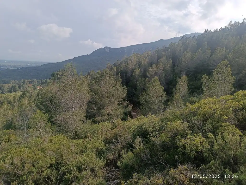 Terreno rustico in vendita a Carrer Major 1, imagen 3