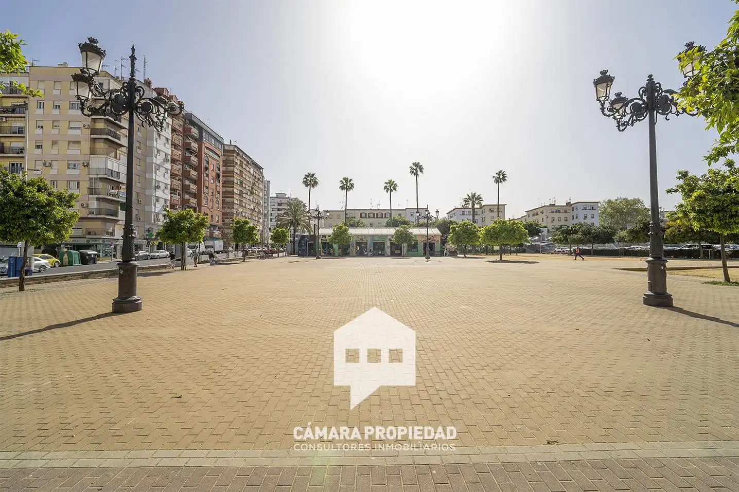 Duplex avec terrasse à vendre à Avenida Alcalde Federico Molina Orta, imagen 47