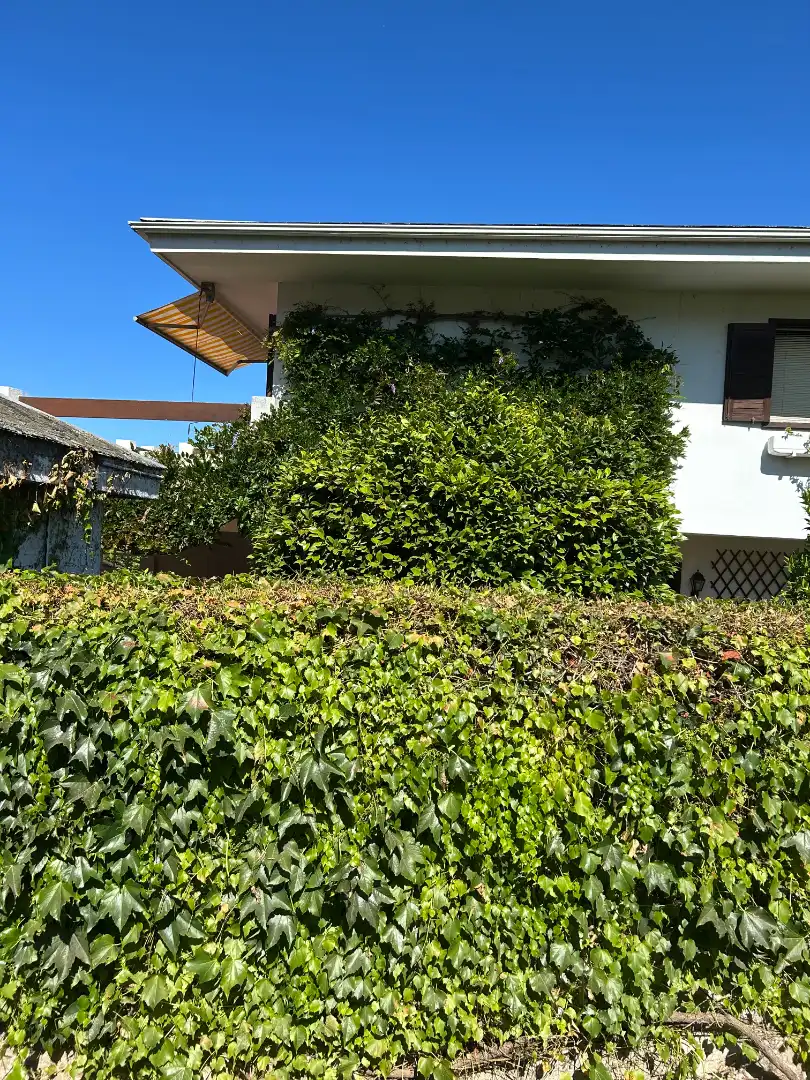 Vista exterior de Casa o chalet en venta en Vigo  con Calefacción, Jardín privado y Parquet