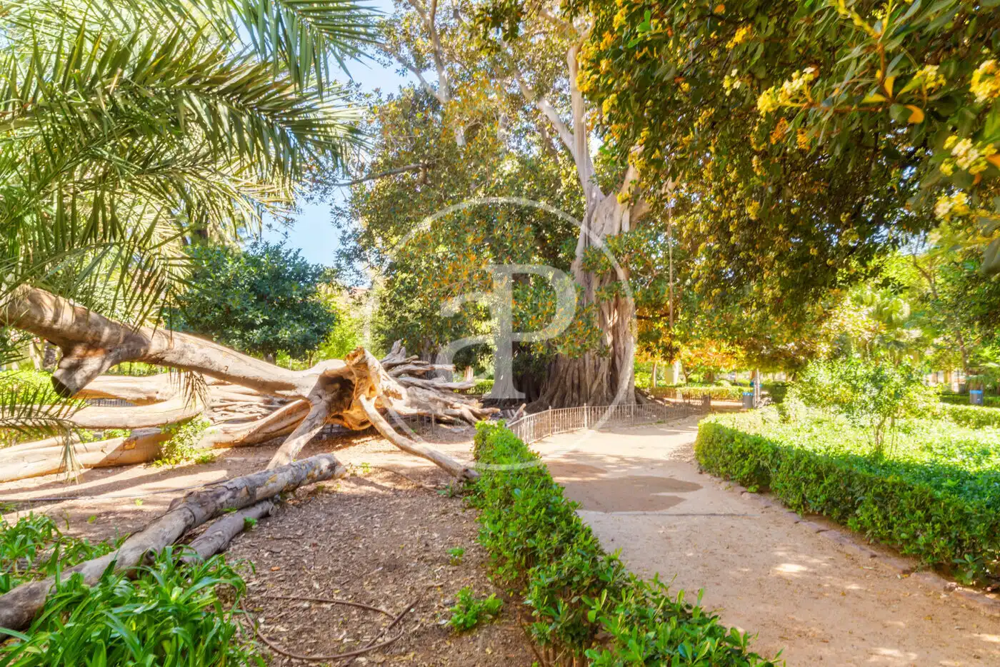 Jardín de Piso en venta en Valencia con Aire acondicionado, Calefacción y Balcón