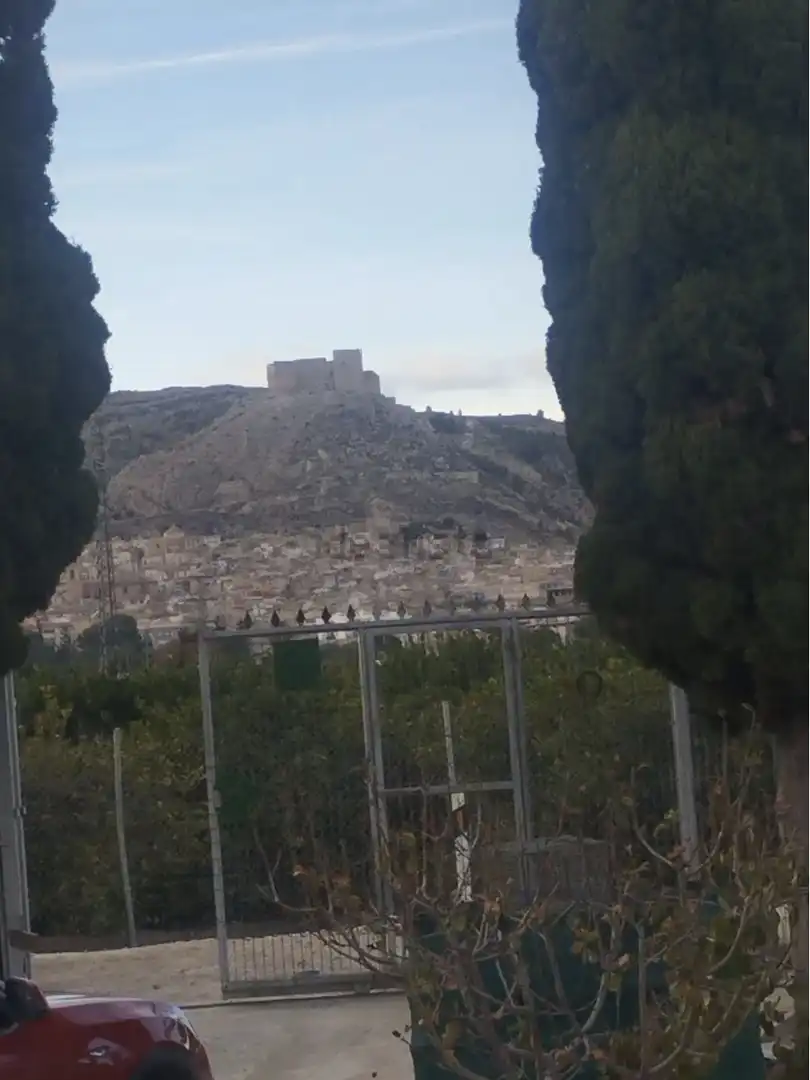 Vista exterior de Casa o xalet en venda en Mula amb Aire condicionat i Balcó