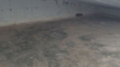 Foto 4 de Traster de lloguer a Avenida del Peñoncillo, 64, El Peñoncillo, Torrox