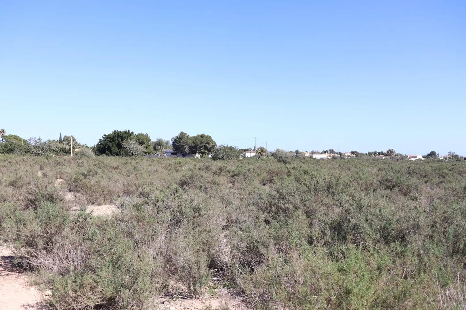 Grundstücke zum Verkauf in Elche / Elx
