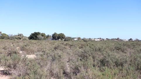 Photo 3 of Land for sale in Partida Perleta, 1184, Perleta - Maitino, Elche / Elx