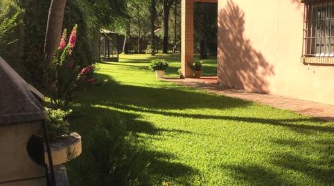 Photo 3 of House or chalet for sale in Urbanización San Nicolás, Pedanías Norte, Utrera