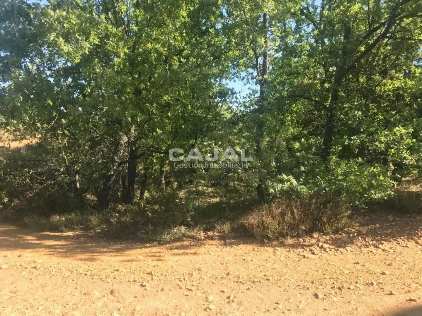 Terreni e lotti in vendita a poligono 6 parcela 6030, imagen 7