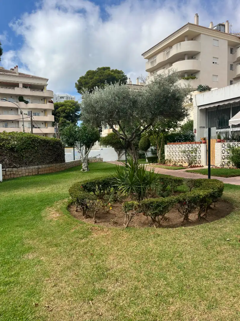 Appartamento con piscina in affitto a Puerto Marina, imagen 18