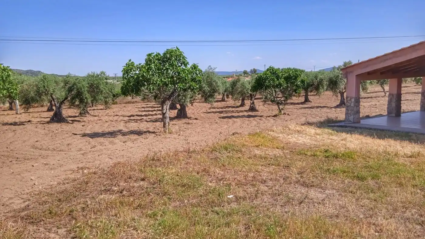 Casa o chalet en venta en Montánchez