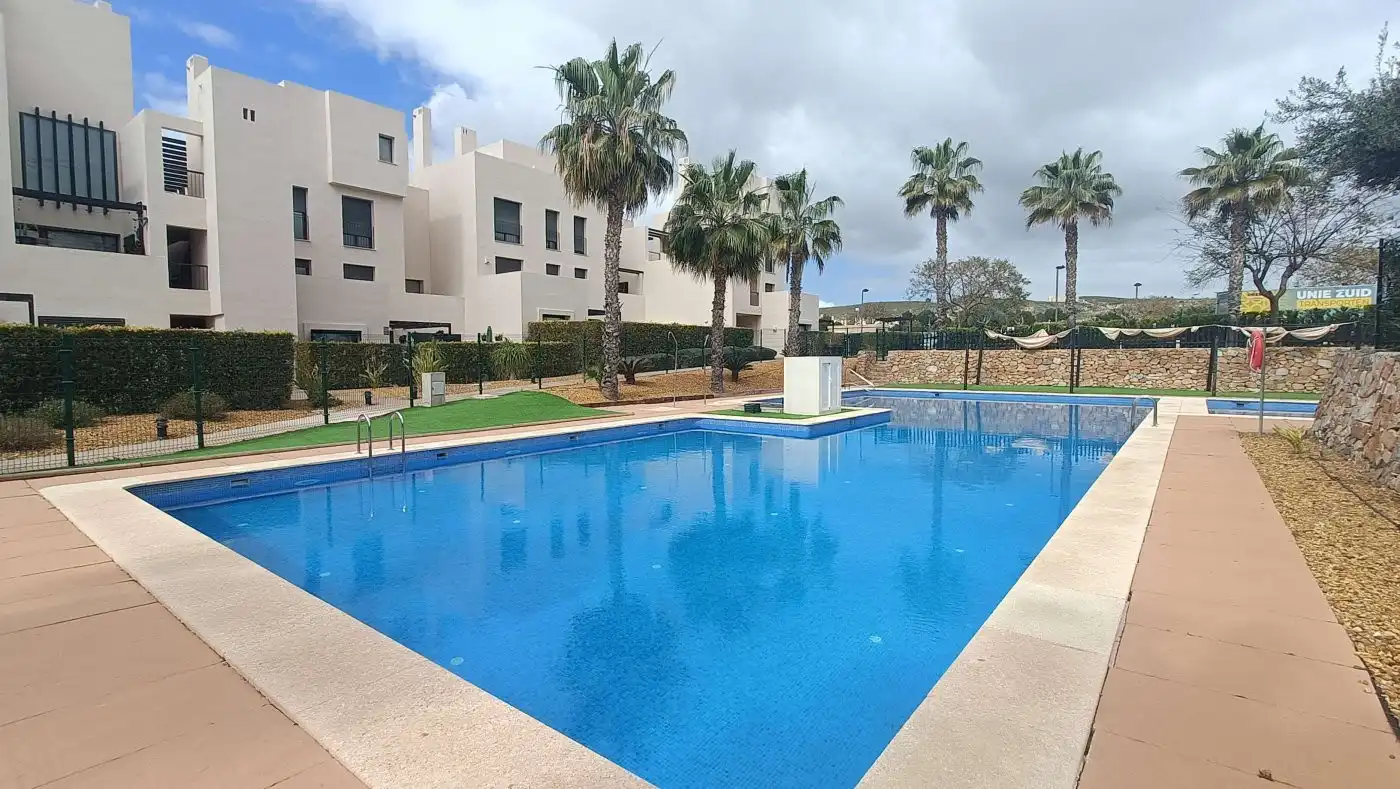 Swimming pool of Apartments for sale in Campo de Murcia