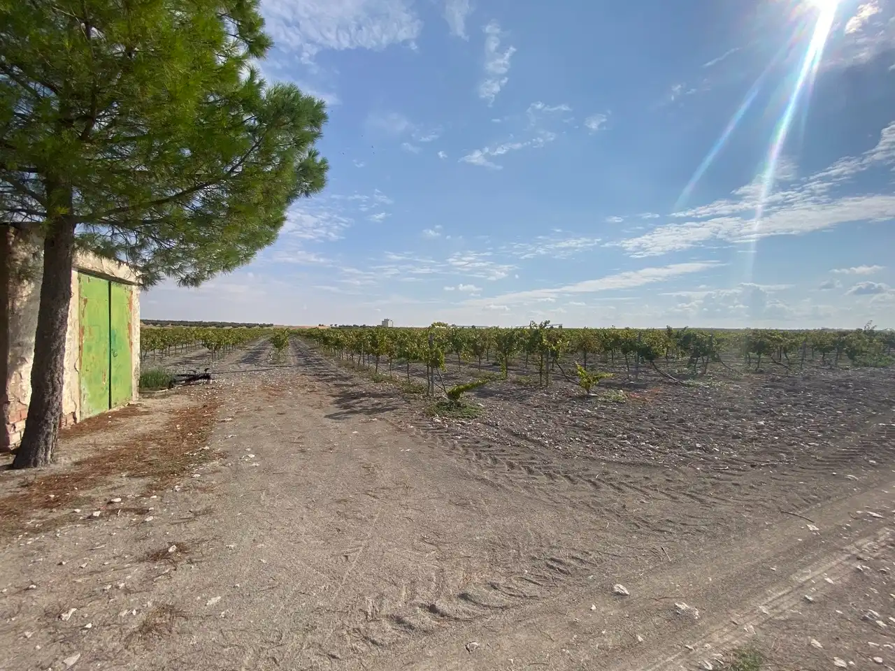 Terreny rústic en venda a Carretera Pozuelo de Calatrava 27, imagen 14
