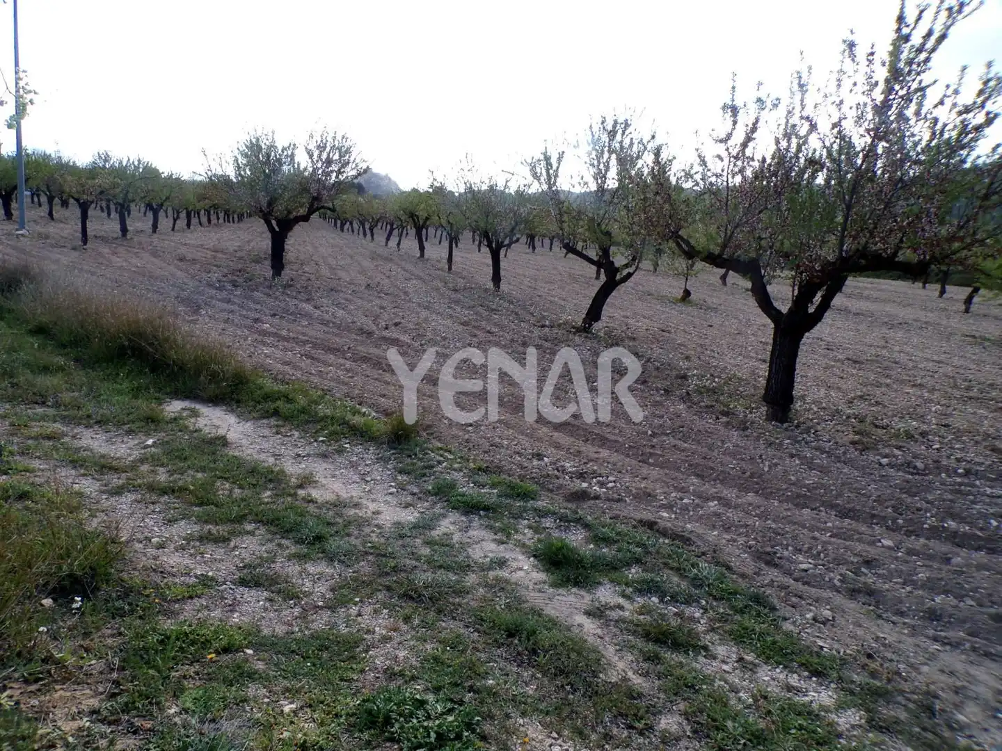 Terrenys i solars en venda a Castalla, imagen 4