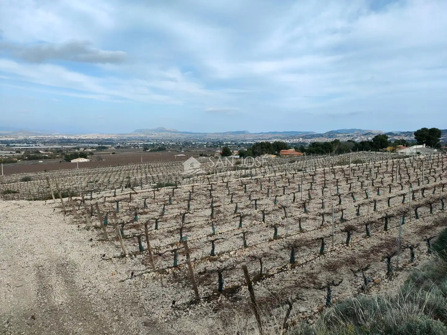Terreno residenziale in vendita a Pedanías Oeste, imagen 4