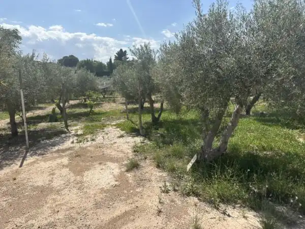 Rustikales Grundstück zum Verkauf in Monóvar  / Monòver, imagen 9